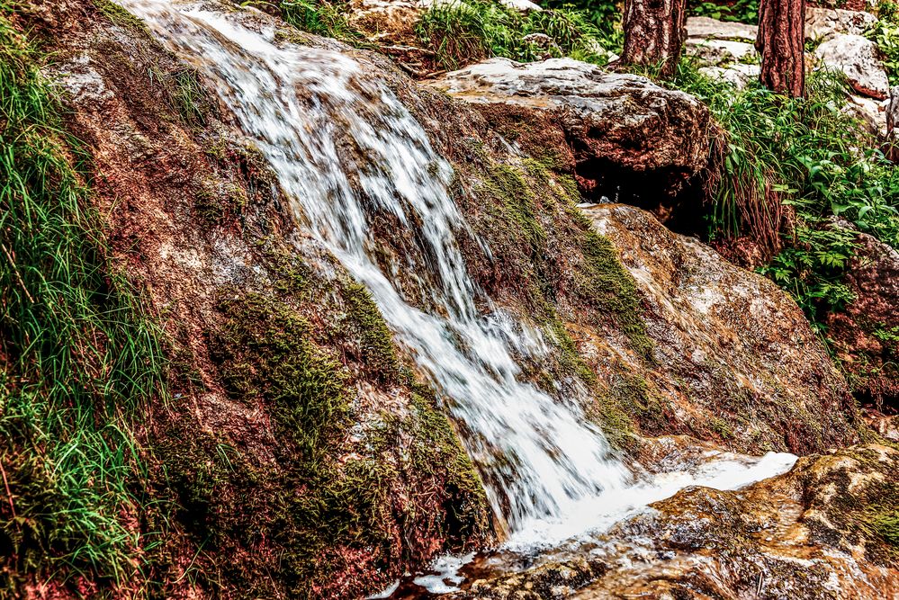 WildWasser