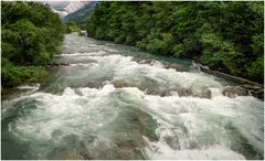 Wildwasser 8