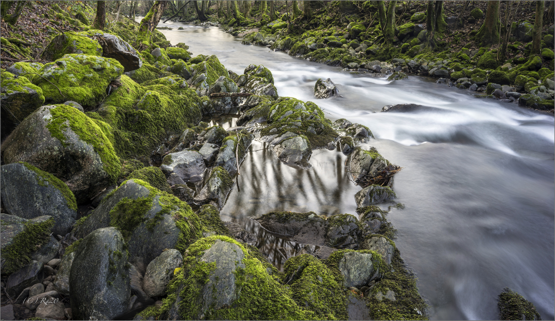 wildwasser 