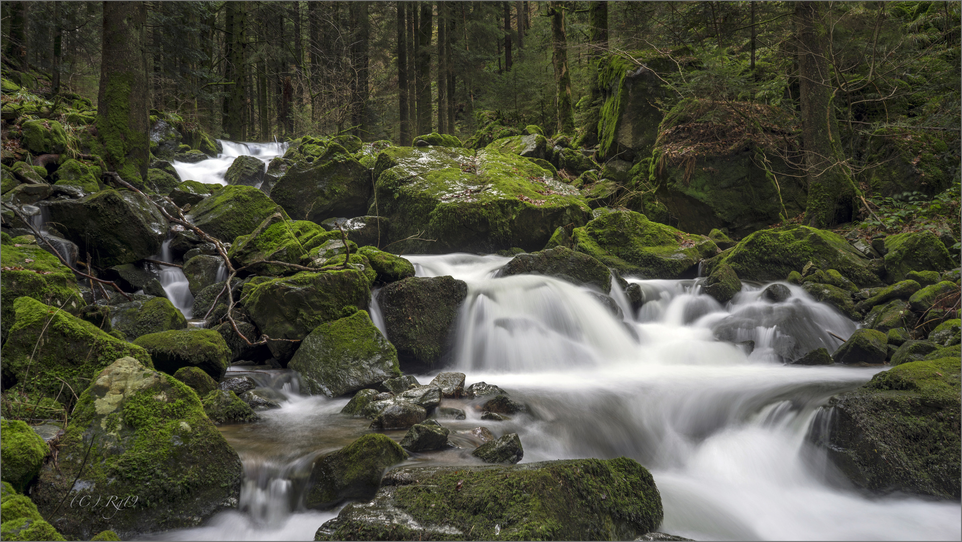 wildwasser