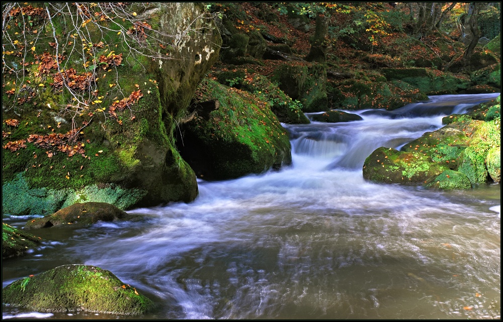 Wildwasser