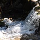 Wildwasser