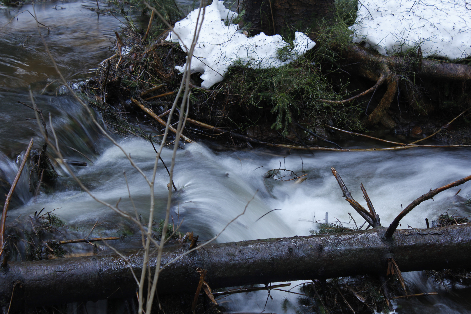 Wildwasser