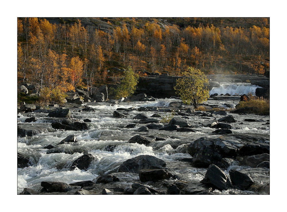 wildwasser