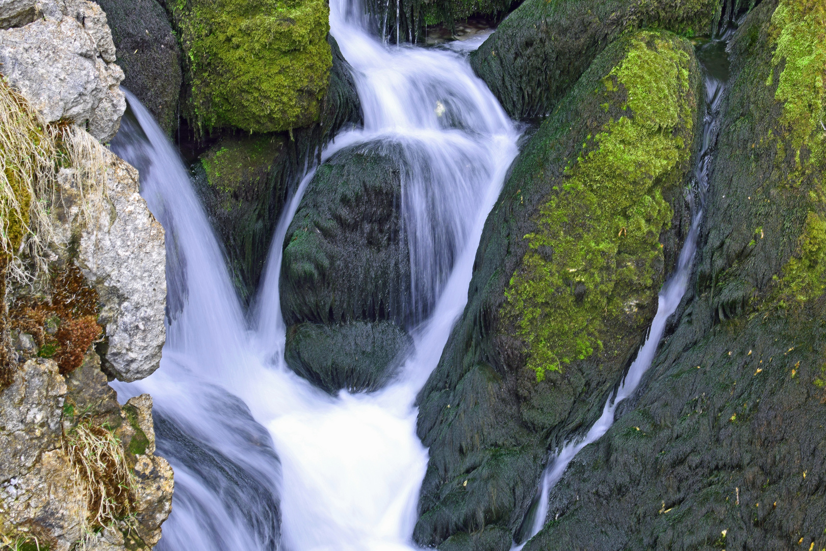 Wildwasser