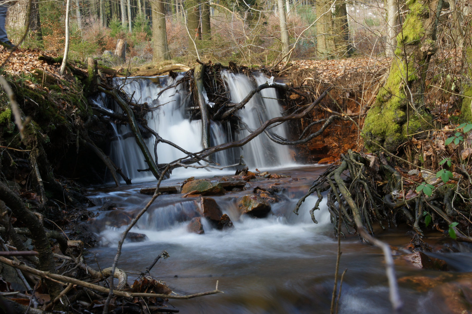 Wildwasser im Hochwald