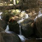 Wildwasser im Oberharz