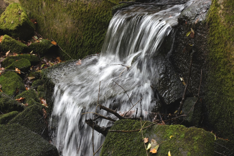 Wildwasser im Wildecker Forst (Hessen)