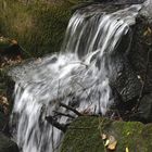 Wildwasser im Wildecker Forst (Hessen)