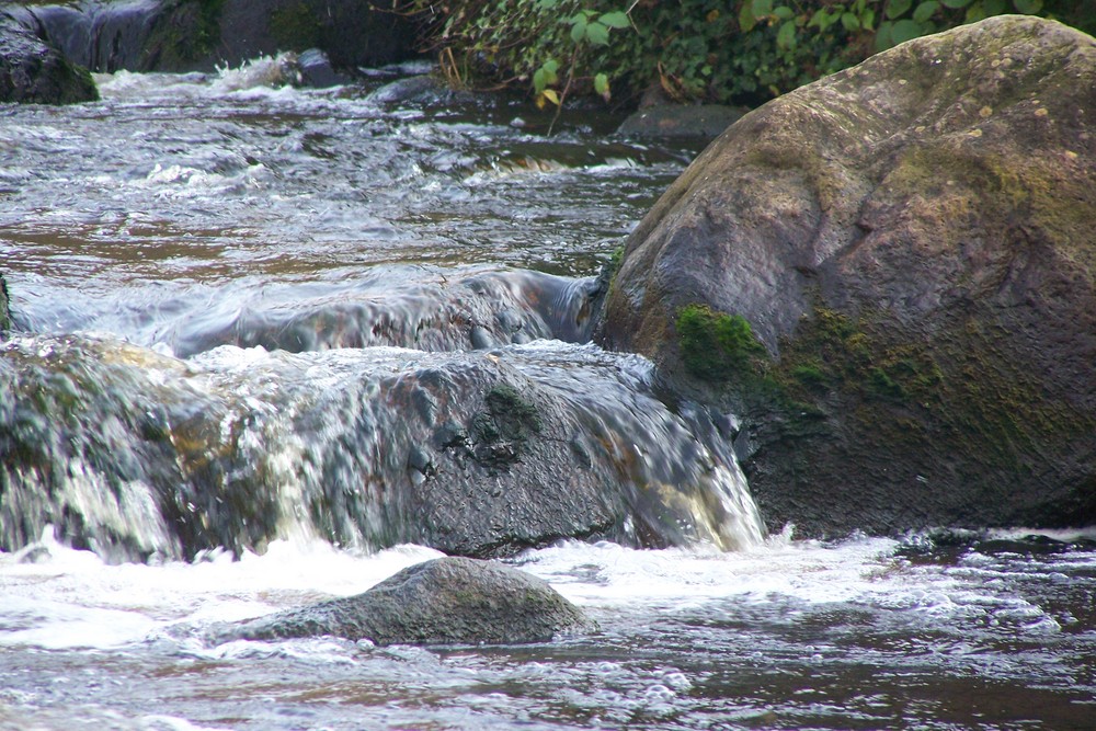 "Wildwasser" in Bad Bramstedt