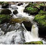 Wildwasser in der Ravennaschlucht