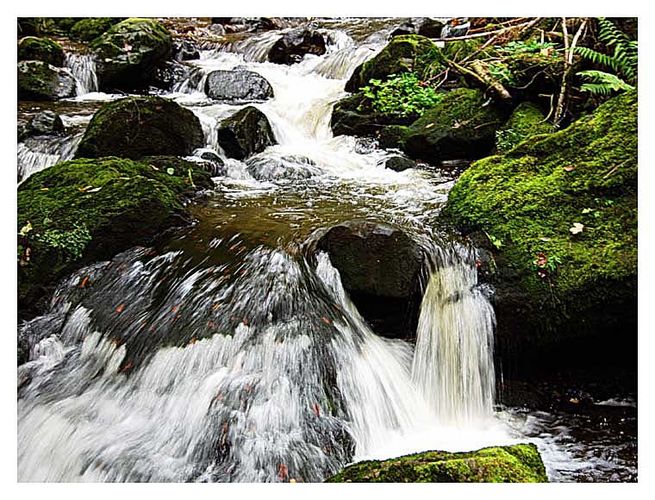 Wildwasser in der Ravennaschlucht