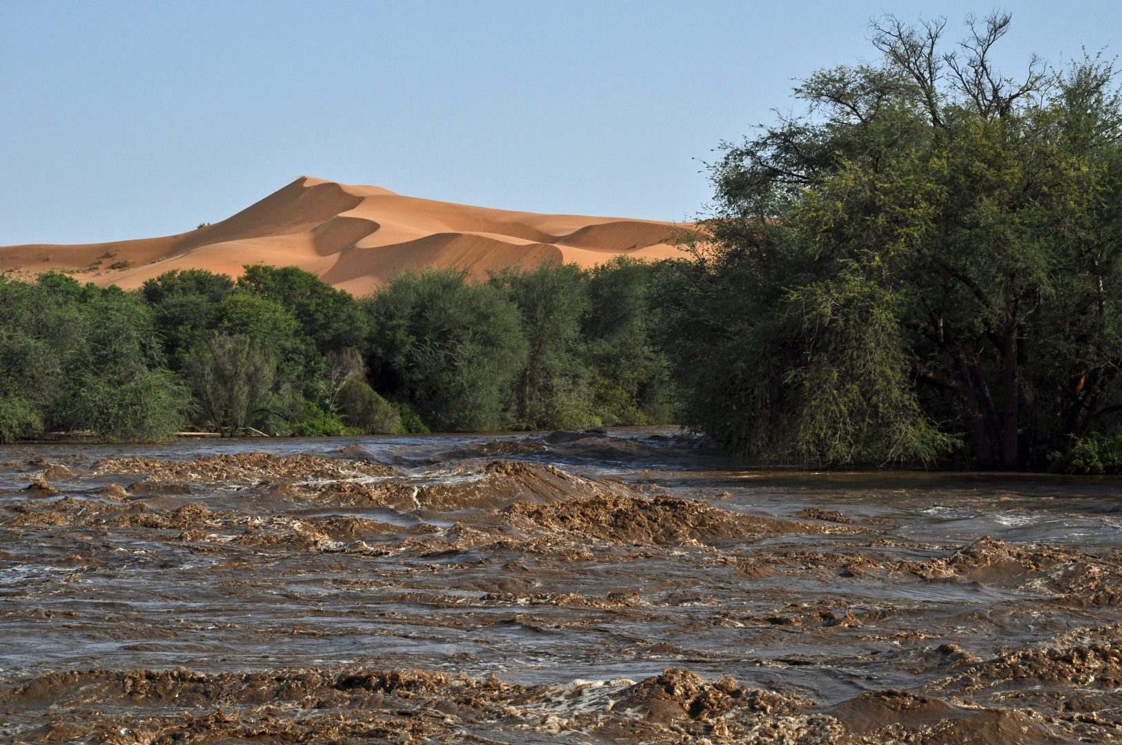 Wildwasser in der Wüste