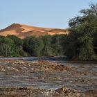 Wildwasser in der Wüste