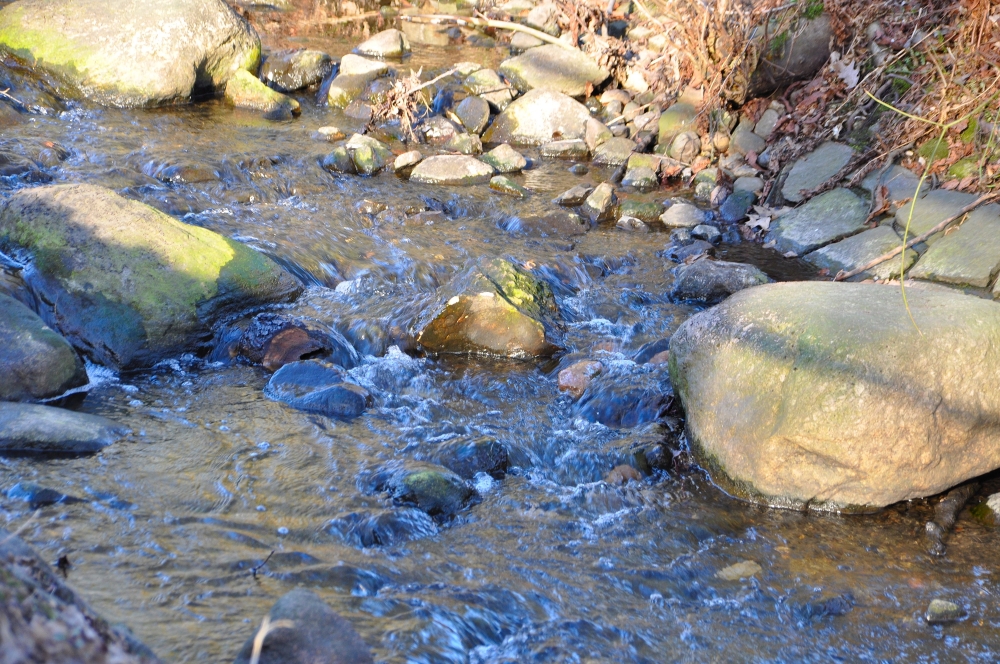 Wildwasser in Hamburg