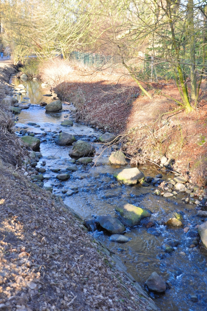 Wildwasser in Hamburg 2