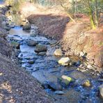 Wildwasser in Hamburg 2