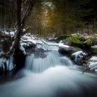 Wildwasser Mariensee