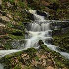 Wildwasser / Nationalpark Harz