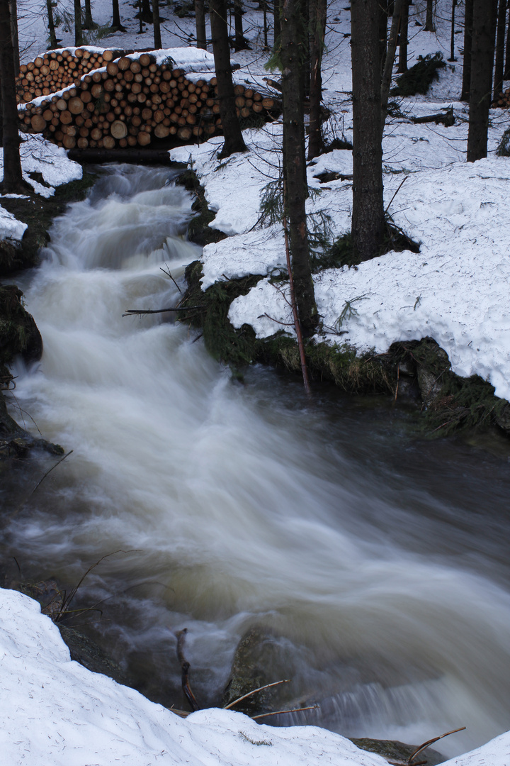 Wildwasser sucht sich seinen Weg