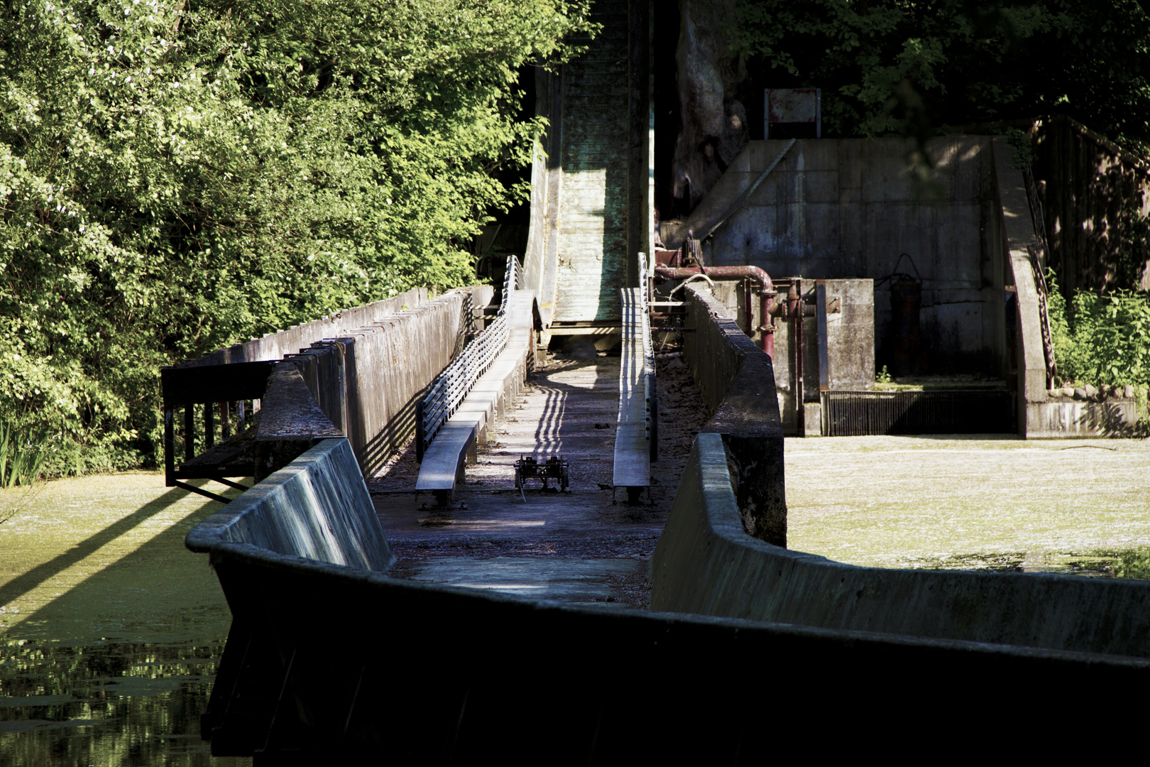 WildWasserBahn Höhepunkt