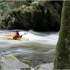 Wildwasserfahrt in der Buchberger Leite