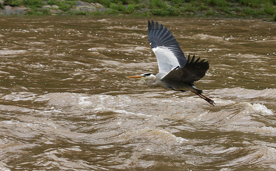 - Wildwasserflug -