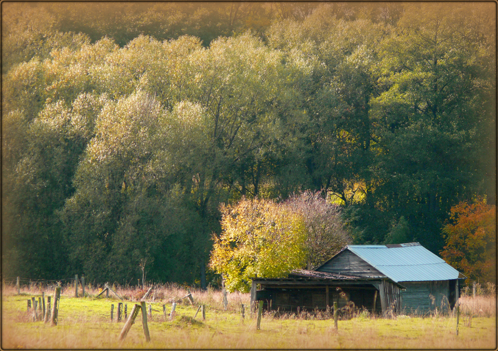 Wildwest oder Westerwälder Highlands