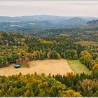 Wildwiese im Herbst