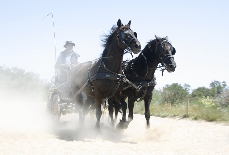 WildWildWest in Spanien