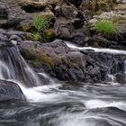 Wildwood Falls riffles.