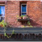 Wildwood Kitchen