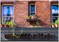 Wildwood Kitchen