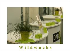 Wildwuchs