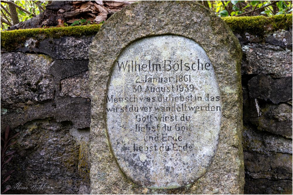 Wilhelm Bölsche (1861-1939)