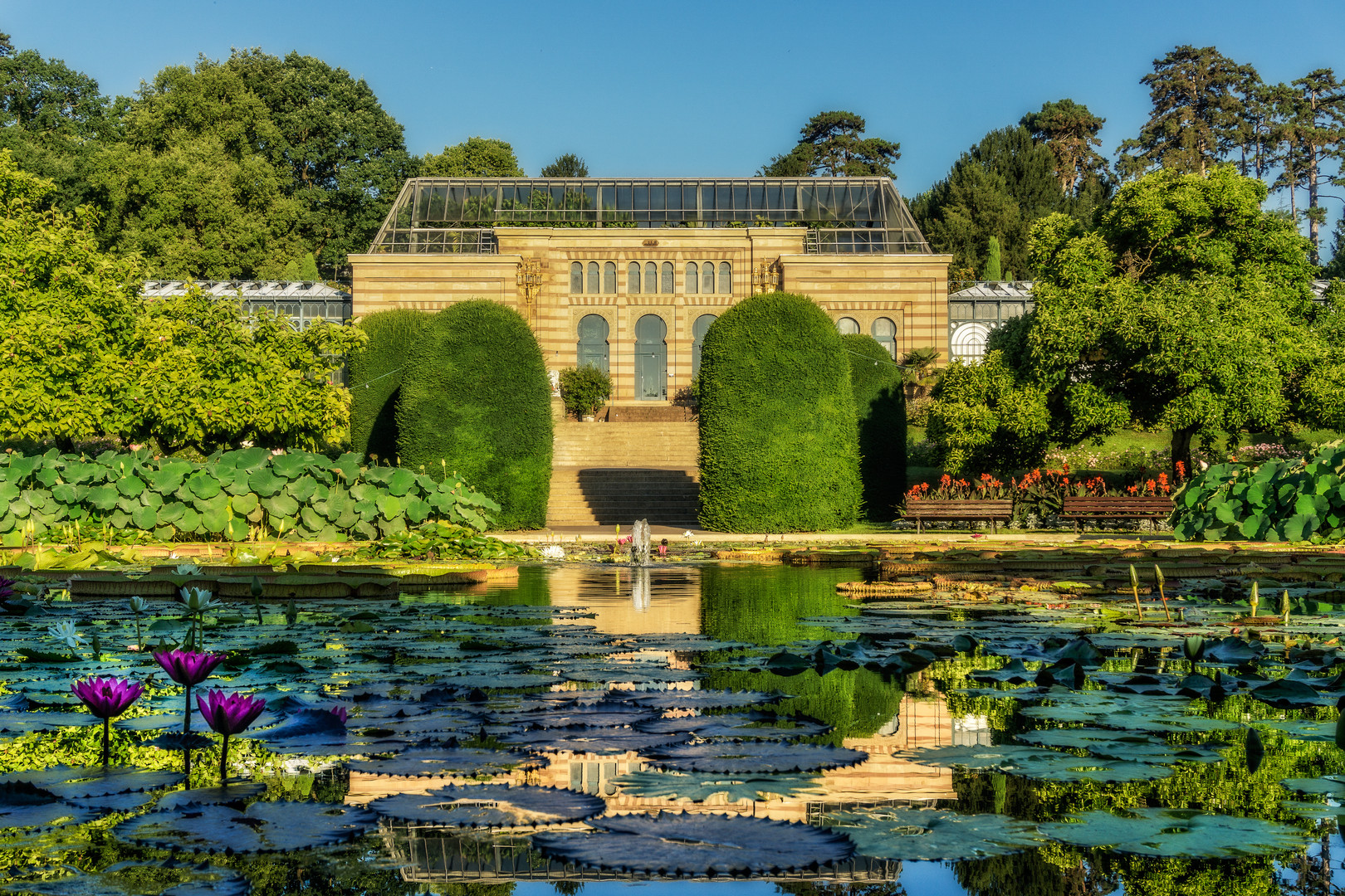 Wilhelma Maurischer Garten Foto & Bild deutschland