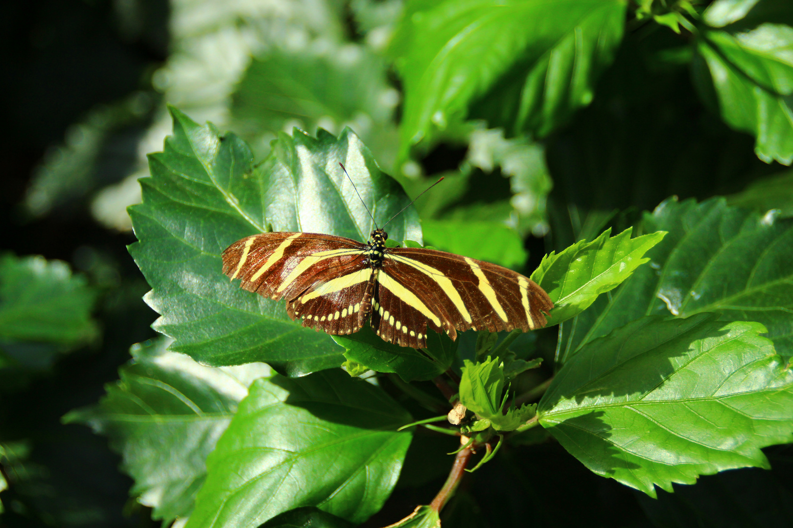 Wilhelma Stuttgart