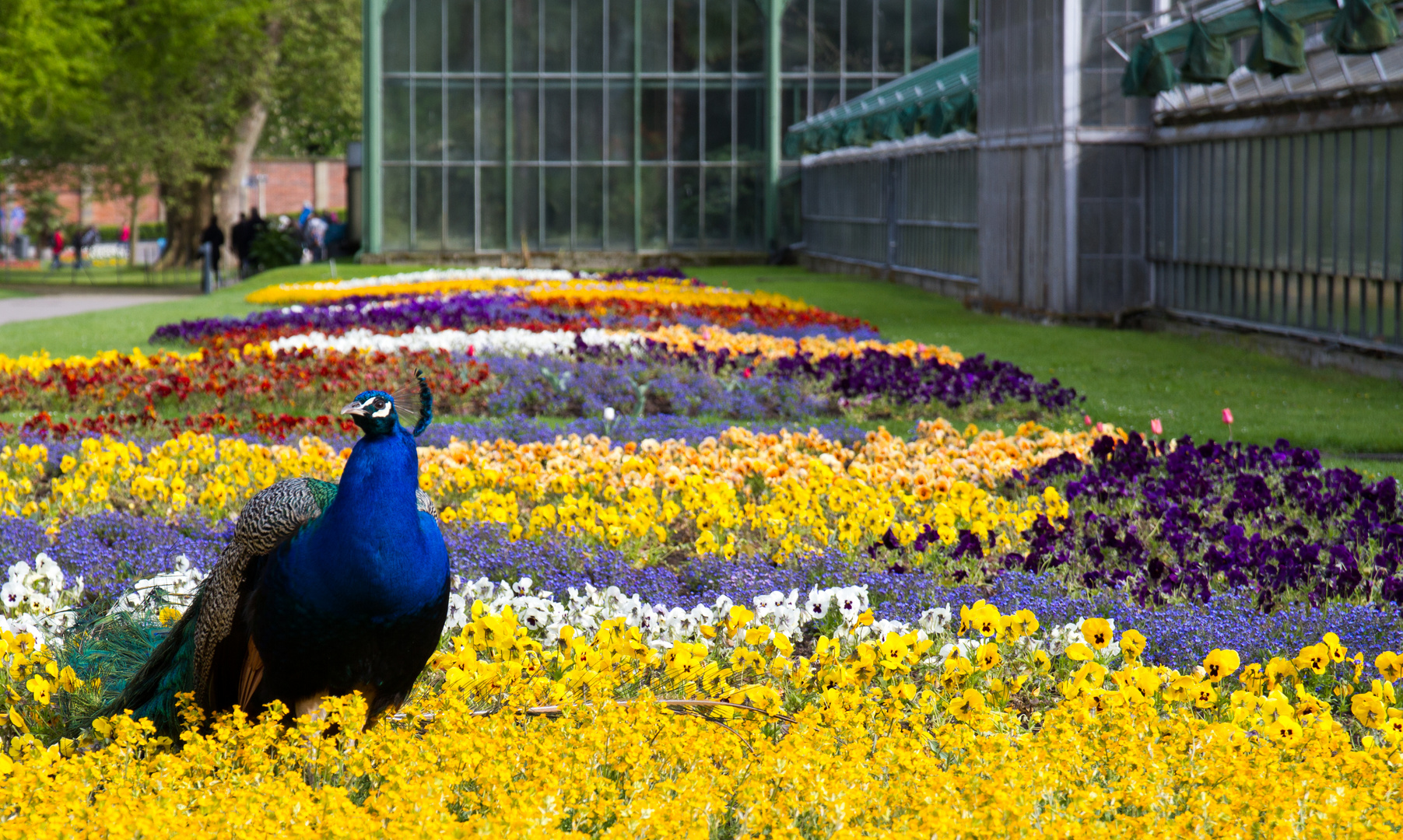 Wilhelma Stuttgart