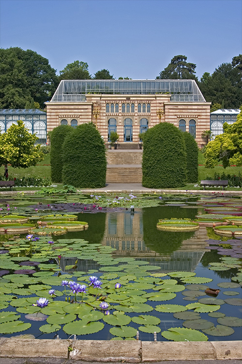 Wilhelma Stuttgart - Seerosenteich