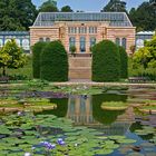 Wilhelma Stuttgart - Seerosenteich