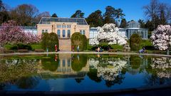 Wilhelma Stuttgart Spiegelung