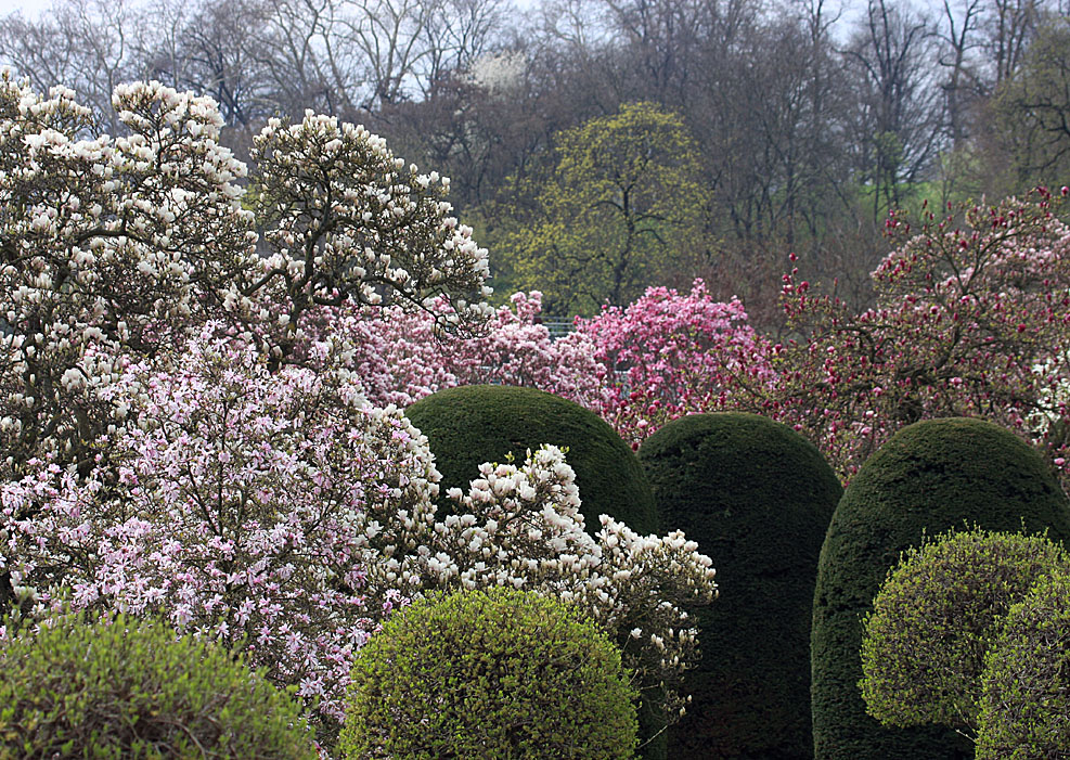 Wilhelma's-Farben-und-Formen