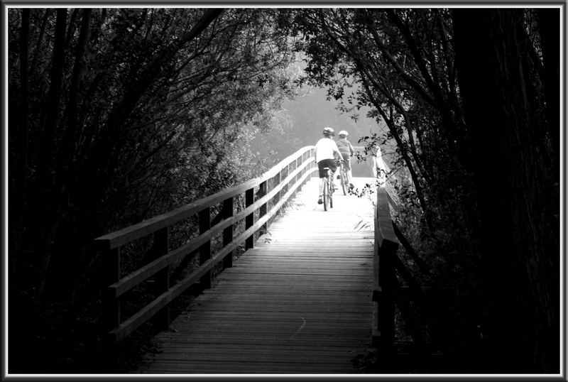 "Wilhelmsbrücke" :-)