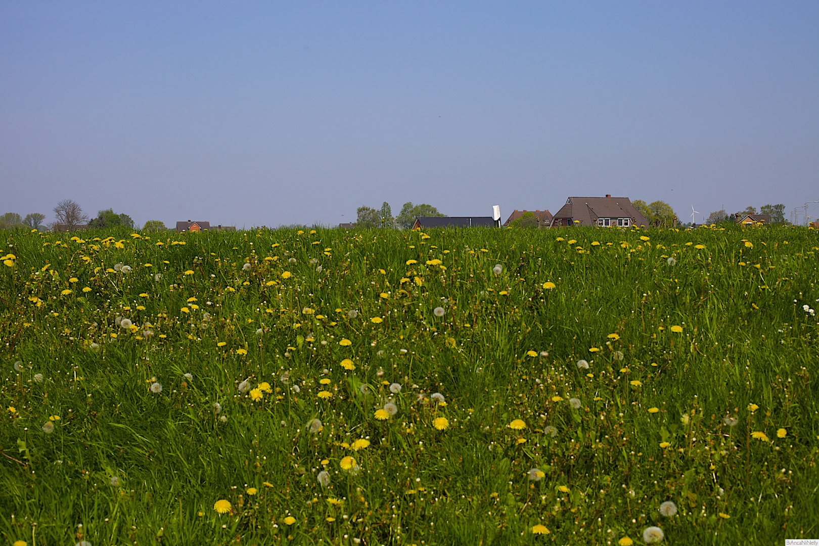 Wilhelmsburg - Moorwerder