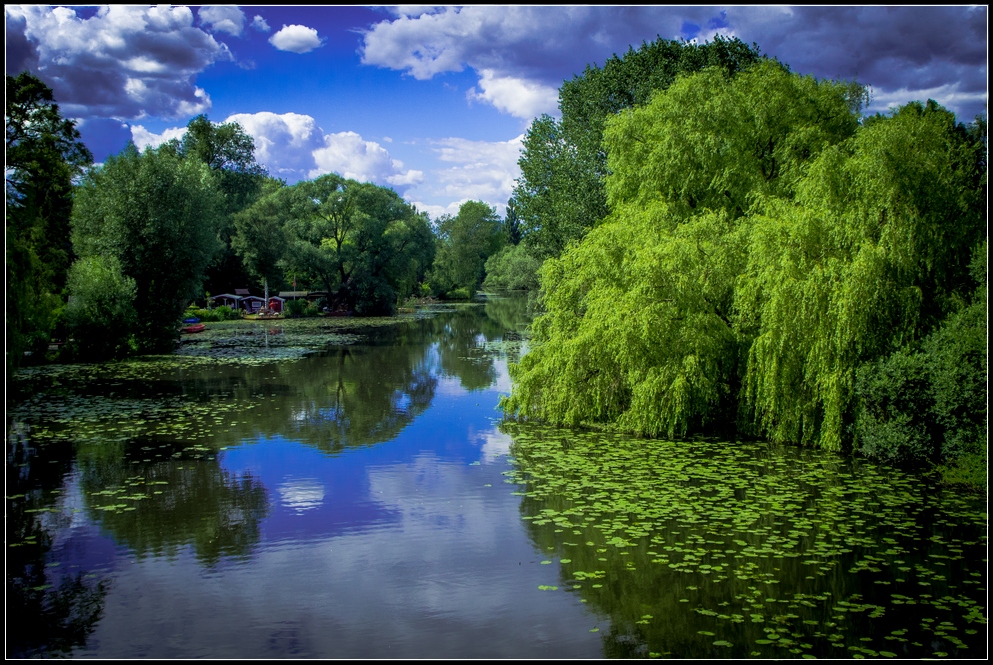 Wilhelmsburger Dove-Elbe