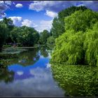 Wilhelmsburger Dove-Elbe