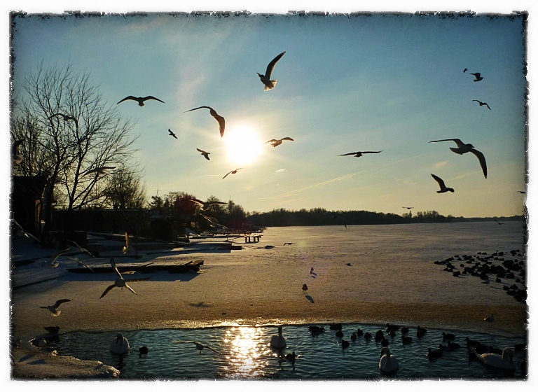 Wilhelmshaven Banter See Foto & Bild landschaft, bach, fluss & see