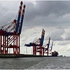 Wilhelmshaven - Containerhafen