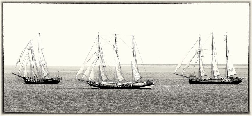 Wilhelmshaven Sailing-CUP 26.-28.09.2025 (3)