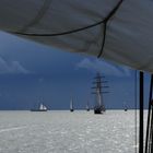 Wilhelmshavener Sailing Cup 22 # 42